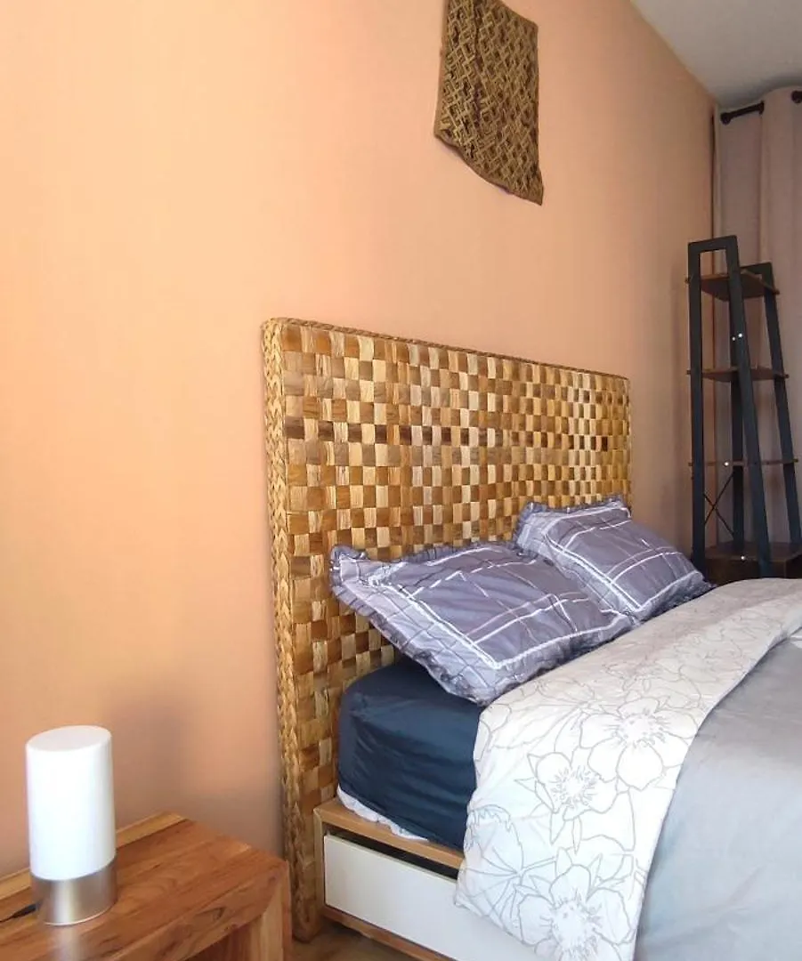 Homestay Chambre Spacieuse Et Lumineuse Chez L'Habitant Apartment Nice