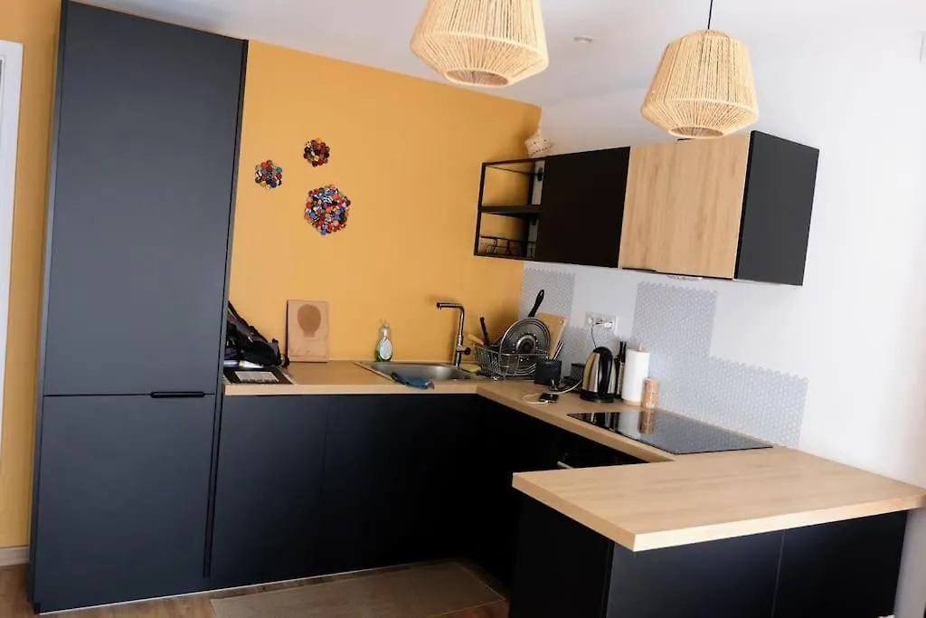 Chambre Spacieuse Et Lumineuse Chez L'Habitant Apartment Nice Homestay